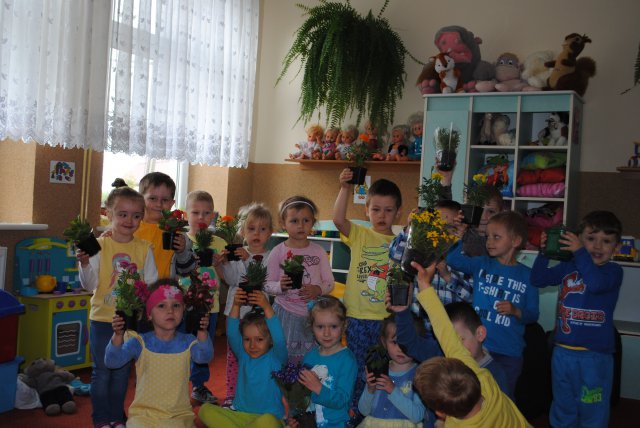 Dzień Niezapominajki