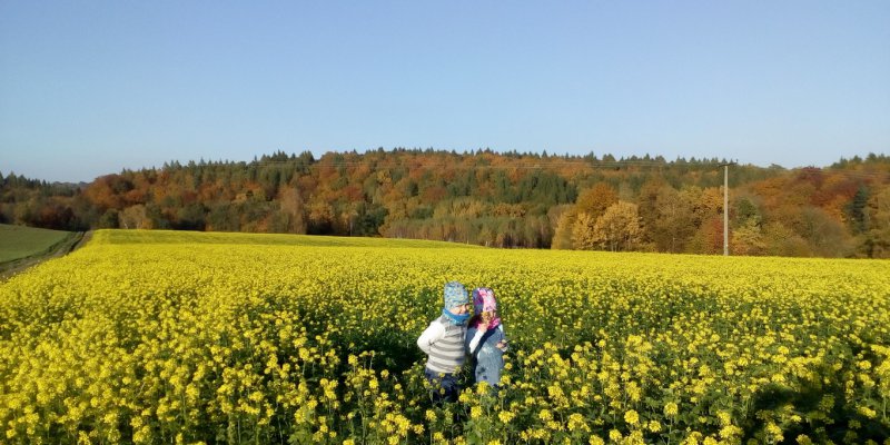 2016 - przedszkole - konkurs fotograficzny