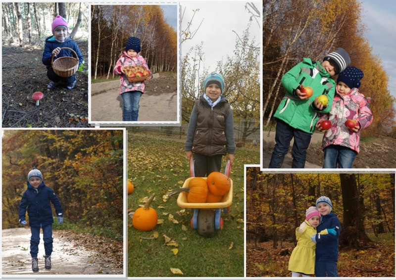 2016 - przedszkole - konkurs fotograficzny