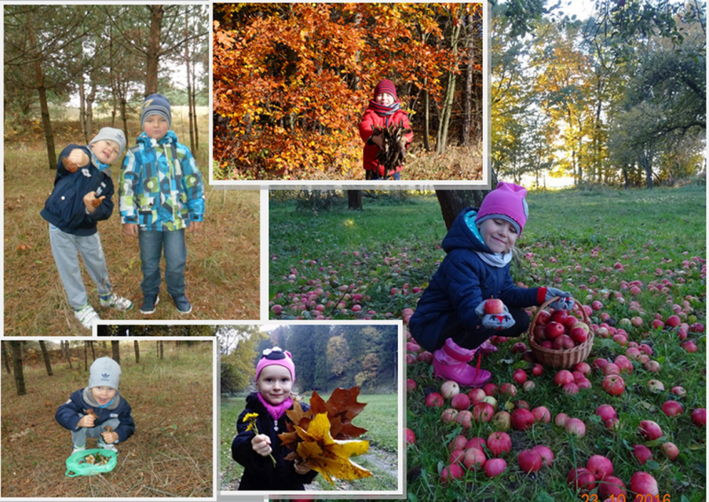 2016 - przedszkole - konkurs fotograficzny