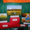 2016 - przedszkole - konkurs fotograficzny