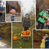 2016 - przedszkole - konkurs fotograficzny