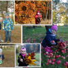 2016 - przedszkole - konkurs fotograficzny