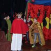 Choinka 2017