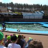 Zielona Szkoła - maj 2017 r.