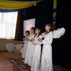 choinka2013