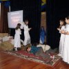 choinka2013