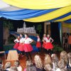 Choinka 2014