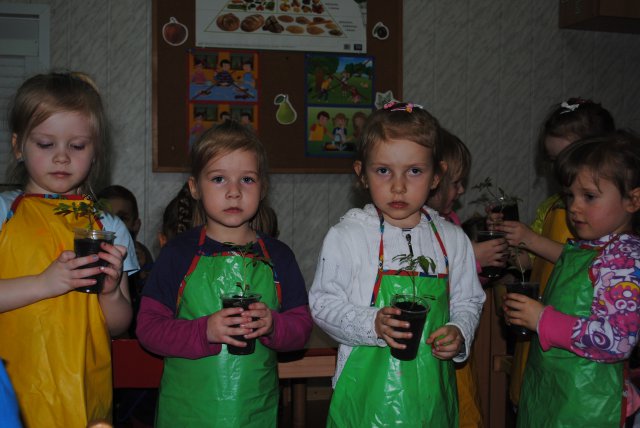 Przedszkole - kącik przyrody