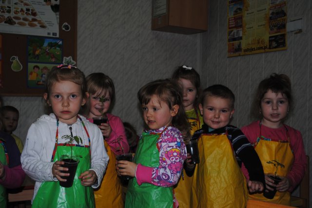 Przedszkole - kącik przyrody