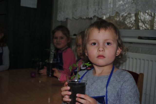 Przedszkole - kącik przyrody