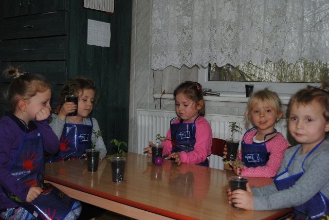 Przedszkole - kącik przyrody